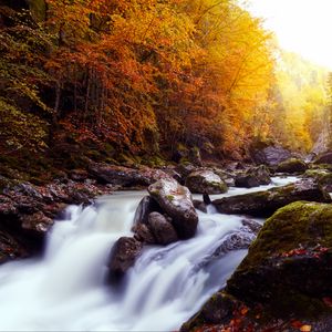 Preview wallpaper river, stones, trees, autumn