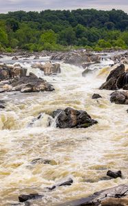 Preview wallpaper river, stones, trees, splashes