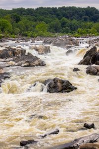 Preview wallpaper river, stones, trees, splashes