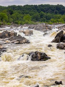 Preview wallpaper river, stones, trees, splashes