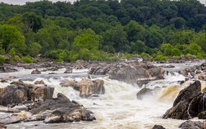 Preview wallpaper river, stones, trees, splashes