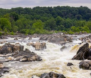 Preview wallpaper river, stones, trees, splashes