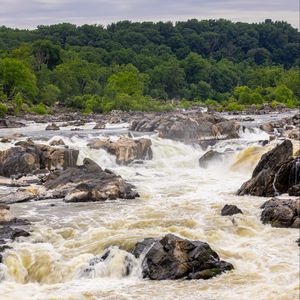 Preview wallpaper river, stones, trees, splashes