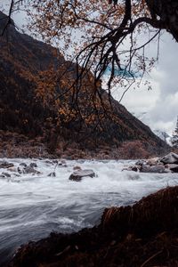 Preview wallpaper river, stones, water, stream, landscape