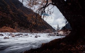 Preview wallpaper river, stones, water, stream, landscape