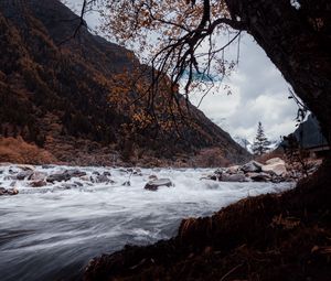Preview wallpaper river, stones, water, stream, landscape