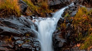 Preview wallpaper river, stones, water, grass, stream