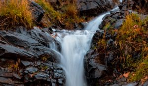 Preview wallpaper river, stones, water, grass, stream