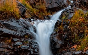 Preview wallpaper river, stones, water, grass, stream