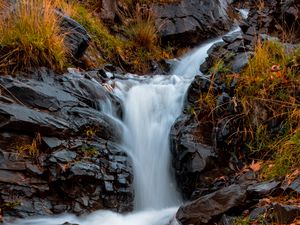 Preview wallpaper river, stones, water, grass, stream