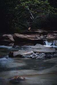 Preview wallpaper river, stones, water, bushes