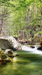 Preview wallpaper river, stones, wood, current