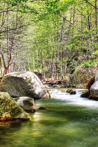 Preview wallpaper river, stones, wood, current