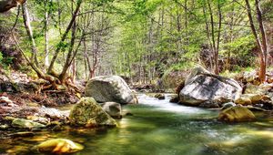 Preview wallpaper river, stones, wood, current