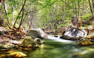 Preview wallpaper river, stones, wood, current