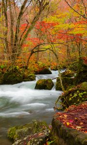 Preview wallpaper river, stream, autumn, trees, leaves