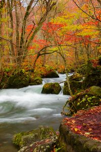 Preview wallpaper river, stream, autumn, trees, leaves