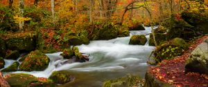 Preview wallpaper river, stream, autumn, trees, leaves
