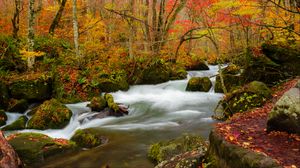 Preview wallpaper river, stream, autumn, trees, leaves