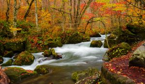 Preview wallpaper river, stream, autumn, trees, leaves