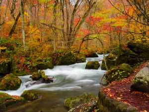 Preview wallpaper river, stream, autumn, trees, leaves