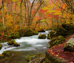 Preview wallpaper river, stream, autumn, trees, leaves