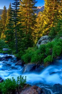 Preview wallpaper river, stream, current, stones, grass, trees, twilight, evening, murmur