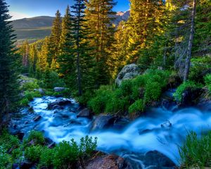 Preview wallpaper river, stream, current, stones, grass, trees, twilight, evening, murmur