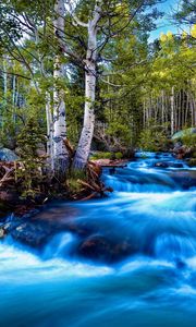 Preview wallpaper river, stream, current, stones, trees, brightly, contrast