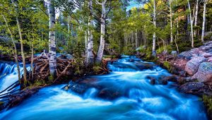 Preview wallpaper river, stream, current, stones, trees, brightly, contrast