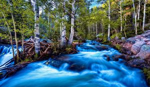 Preview wallpaper river, stream, current, stones, trees, brightly, contrast