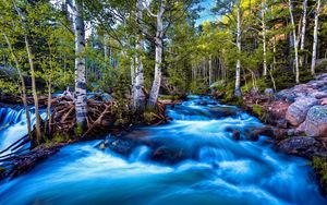 Preview wallpaper river, stream, current, stones, trees, brightly, contrast