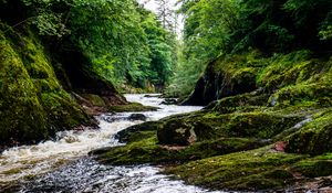 Preview wallpaper river, stream, forest, stone, moss