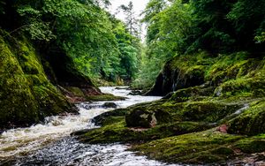 Preview wallpaper river, stream, forest, stone, moss