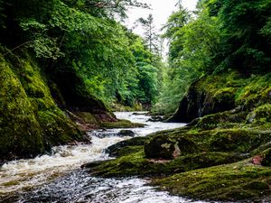 Preview wallpaper river, stream, forest, stone, moss