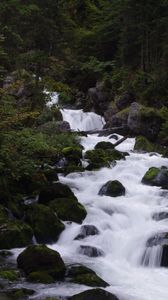 Preview wallpaper river, stream, forest, stones, trees, water