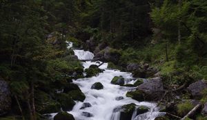 Preview wallpaper river, stream, forest, stones, trees, water