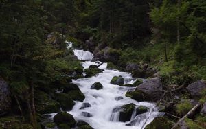 Preview wallpaper river, stream, forest, stones, trees, water