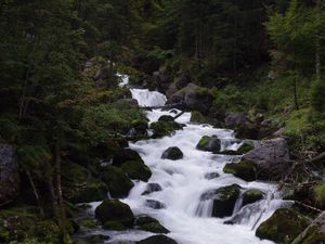 Preview wallpaper river, stream, forest, stones, trees, water