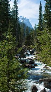 Preview wallpaper river, stream, forest, mountain, landscape, nature