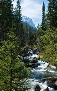 Preview wallpaper river, stream, forest, mountain, landscape, nature