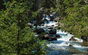 Preview wallpaper river, stream, forest, mountain, landscape, nature