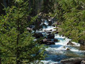 Preview wallpaper river, stream, forest, mountain, landscape, nature
