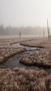Preview wallpaper river, stream, grass, fog