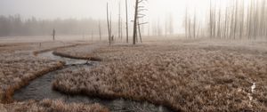 Preview wallpaper river, stream, grass, fog