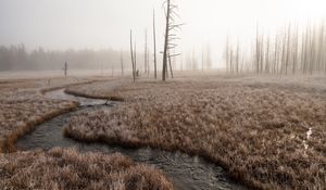Preview wallpaper river, stream, grass, fog