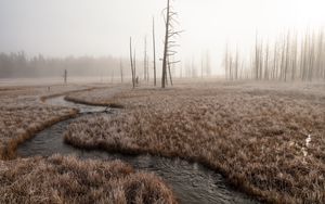 Preview wallpaper river, stream, grass, fog