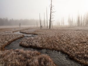 Preview wallpaper river, stream, grass, fog