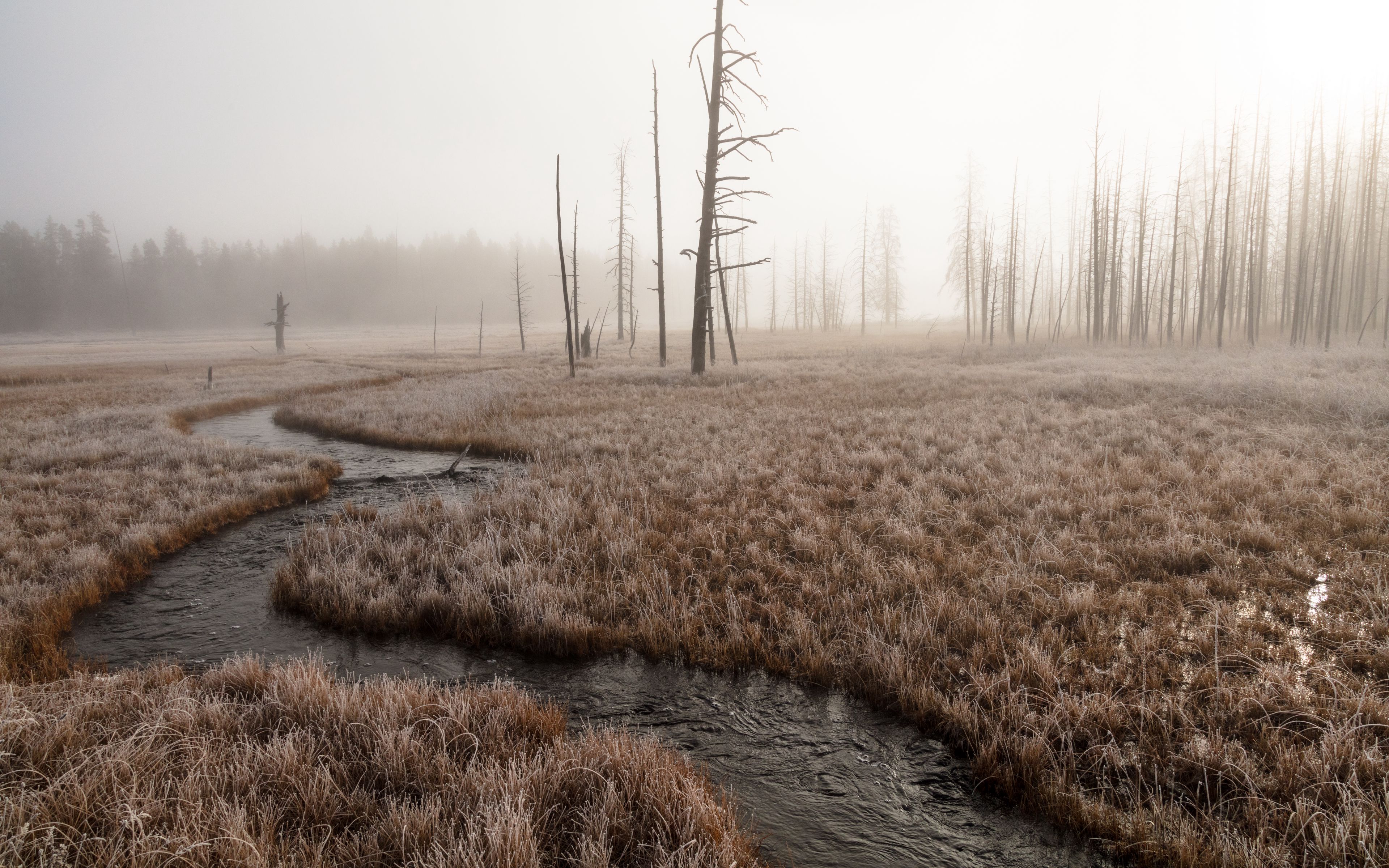 Download Wallpaper 3840x2400 River Stream Grass Fog 4k Ultra Hd 16 