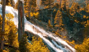 Preview wallpaper river, stream, mountain, trees, stones